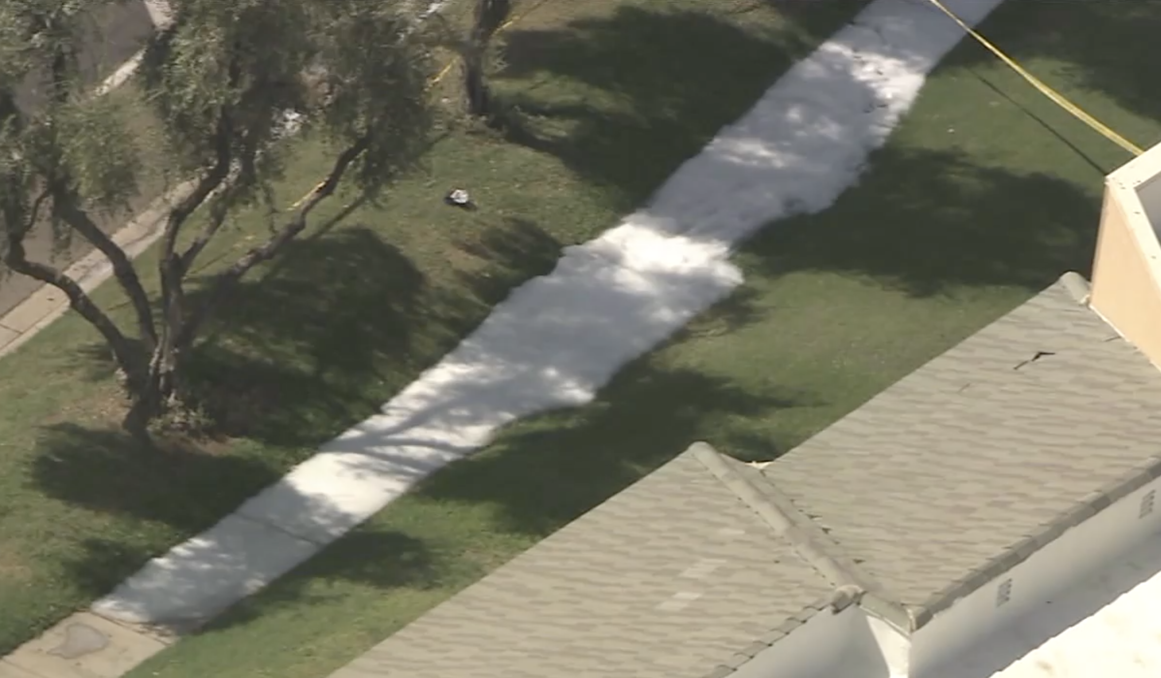 Chandler bee attack.png