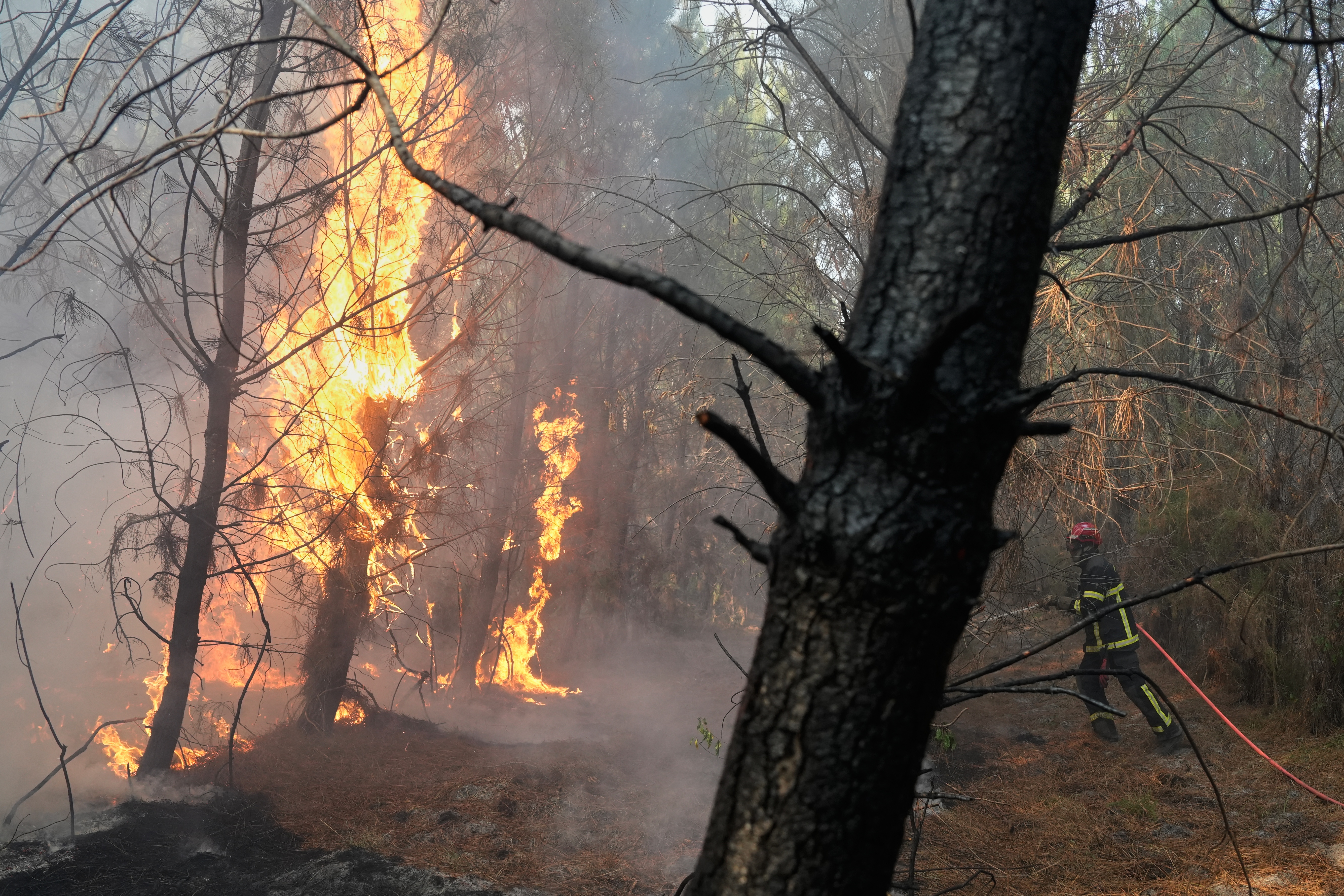 A firefighter works to extinguish a fire near Blagon, during wildfires in southwestern France, Wednesday, July 29, 2026.