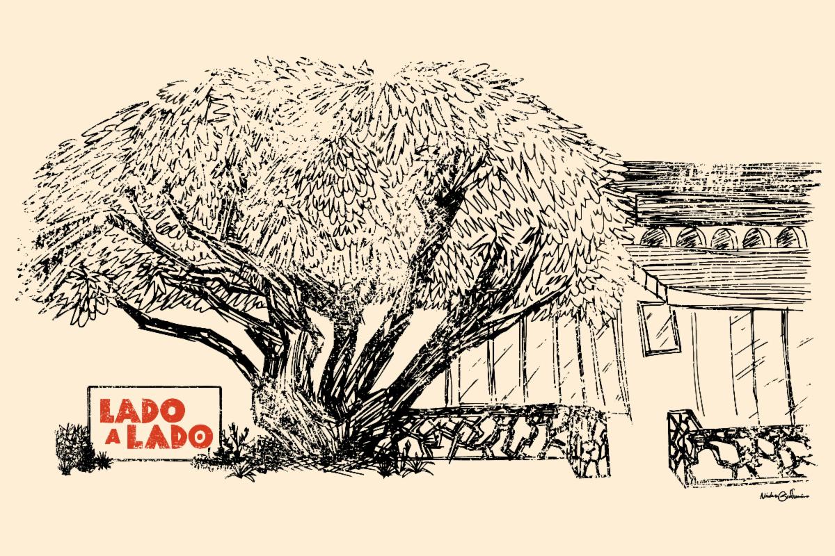 Lado a Lado Branding Illustration