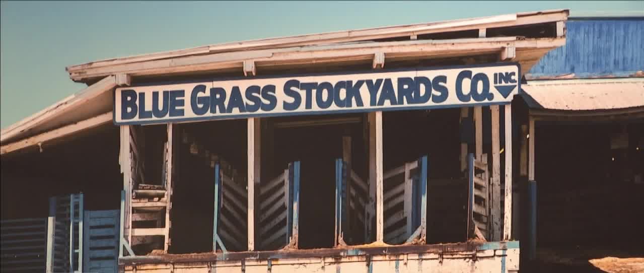 bluegrass stockyards.jpg