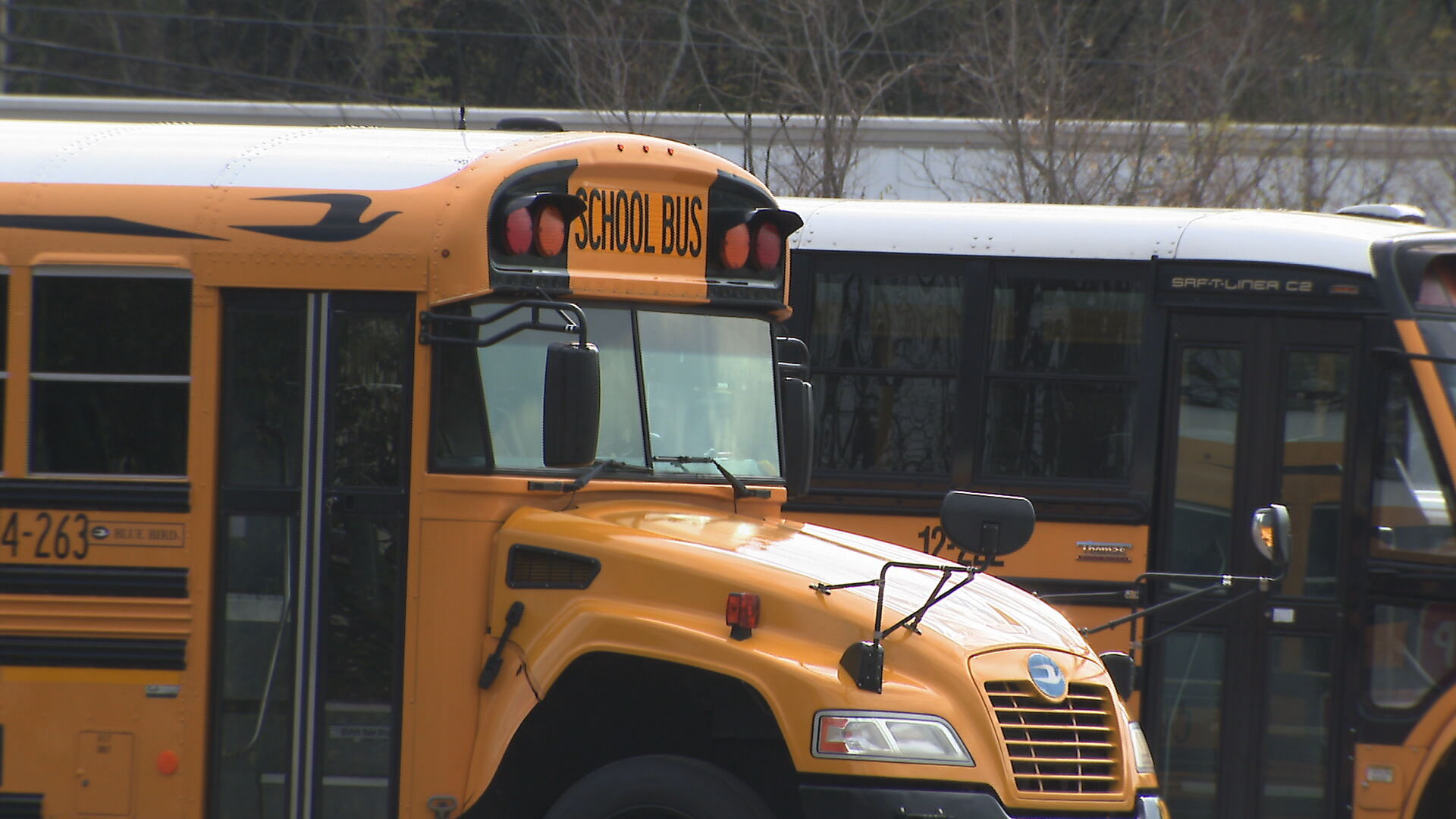 WCS School Bus 