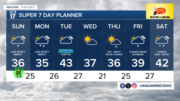 7 DAY FORECAST