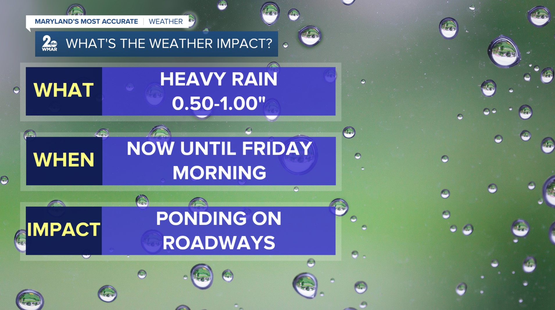 Screenshot 2026-02-19 175543.jpg