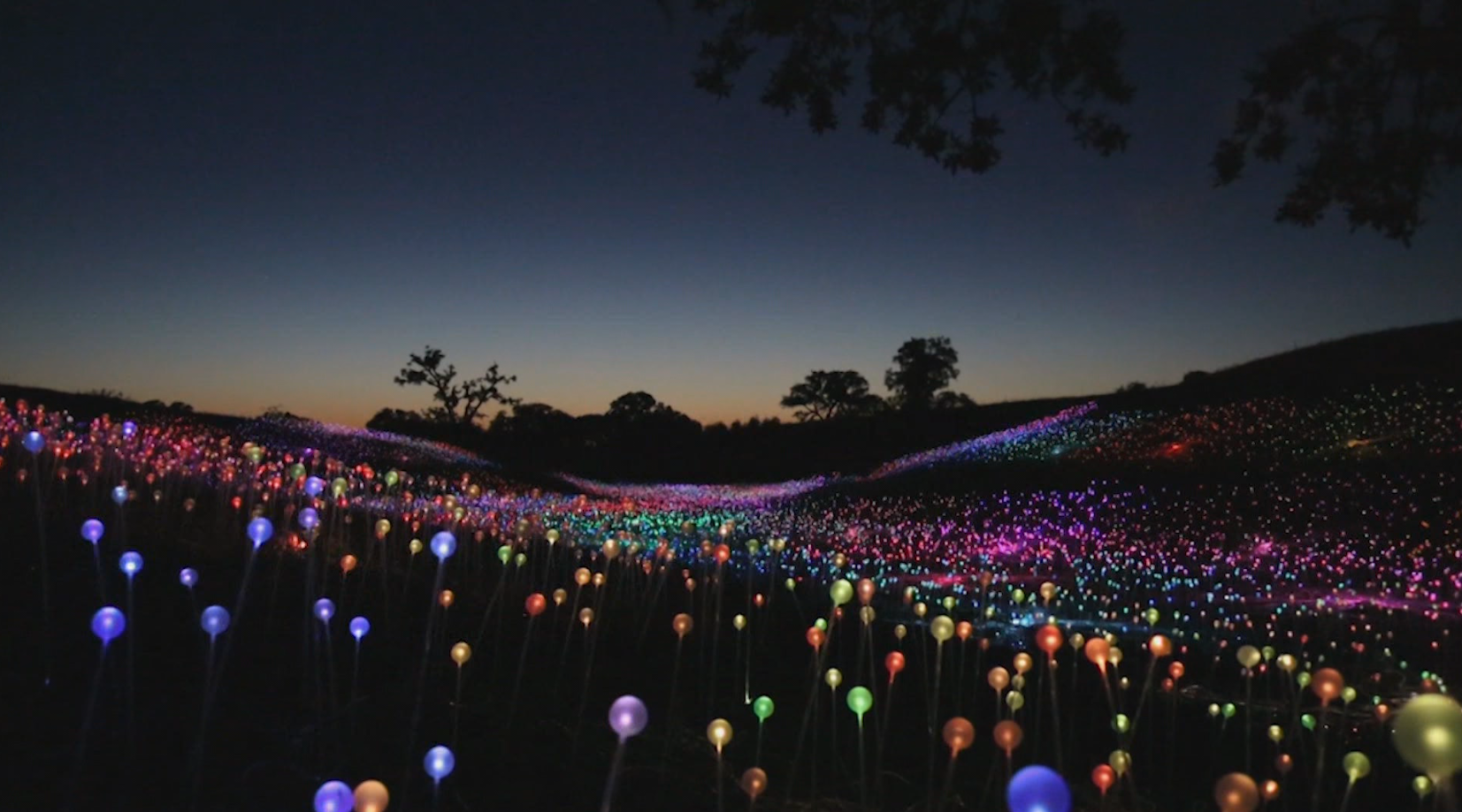 sensorio field of light.png