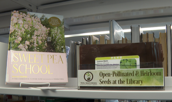 seed library.png