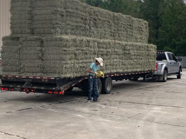 hay to plaquemines parish.jpg