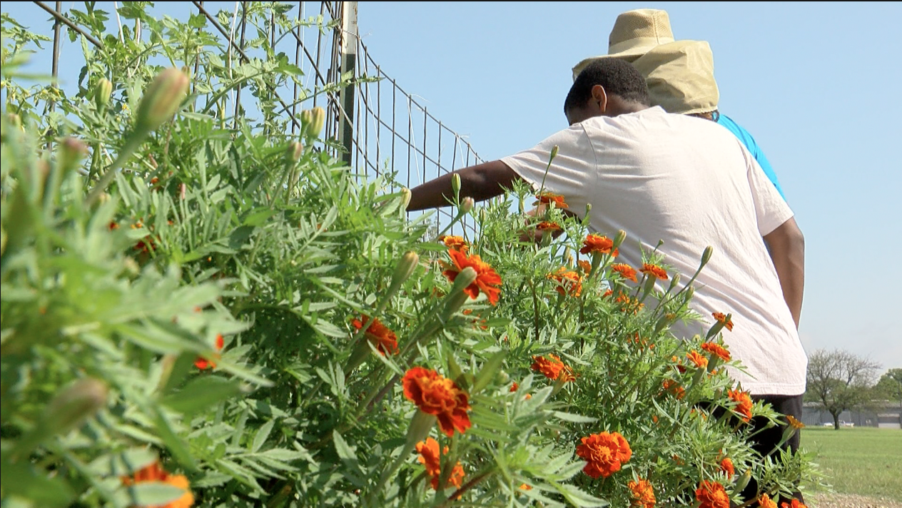 Food on the Move Interns