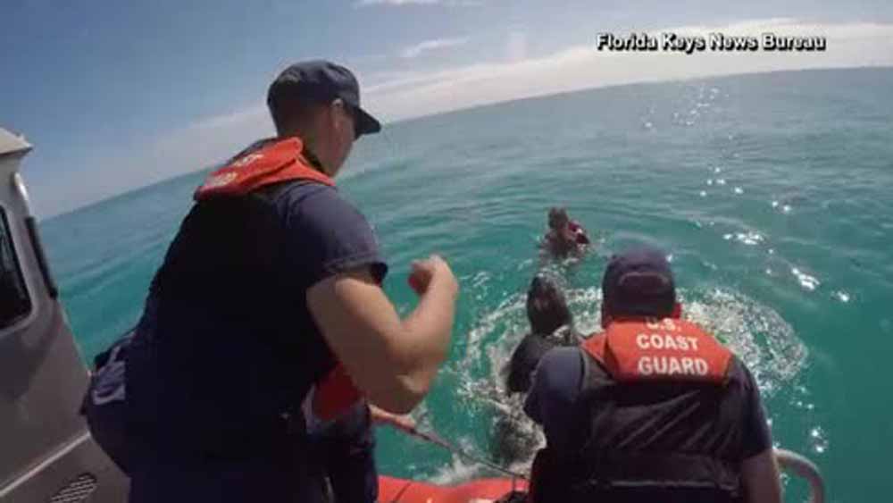 wptv-leatherback-turtle-rescue.jpg