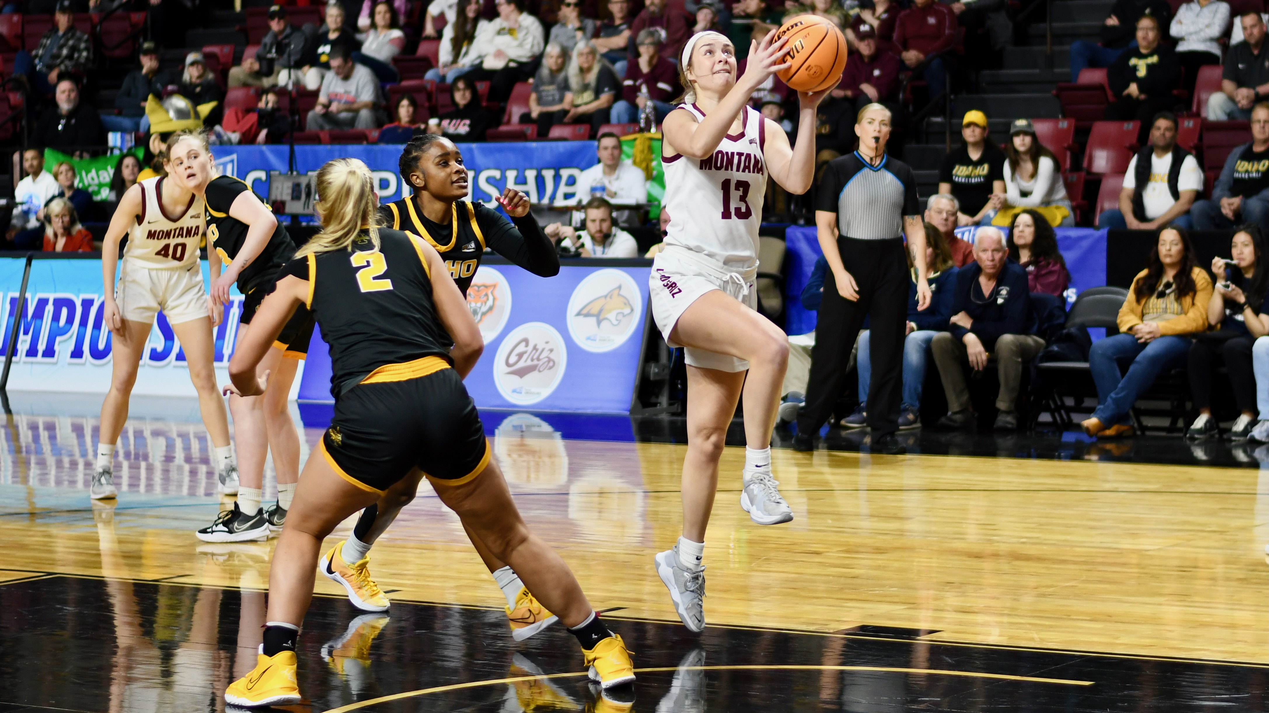 Big Sky Conference women's basketball