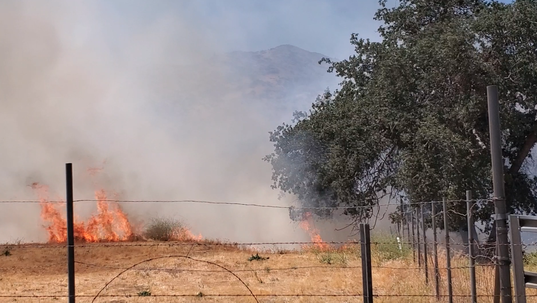 Vegetation fire in Tehachapi off Rountree Court
