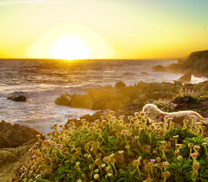 Sunset over Cambria