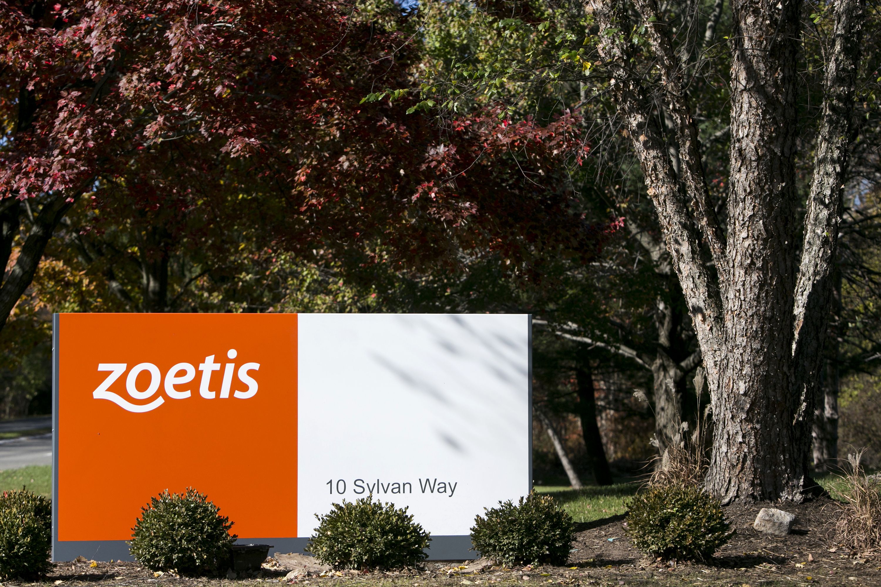 Zoetis new jersey