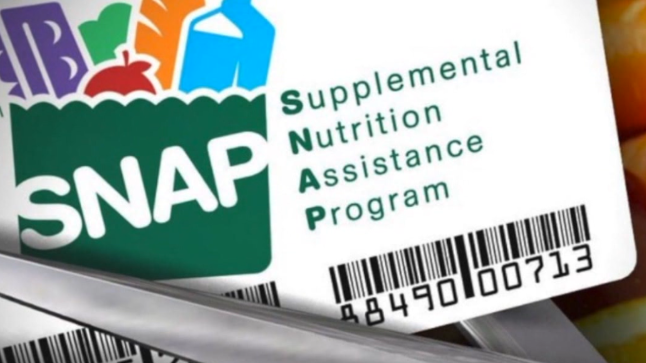snap benefits card