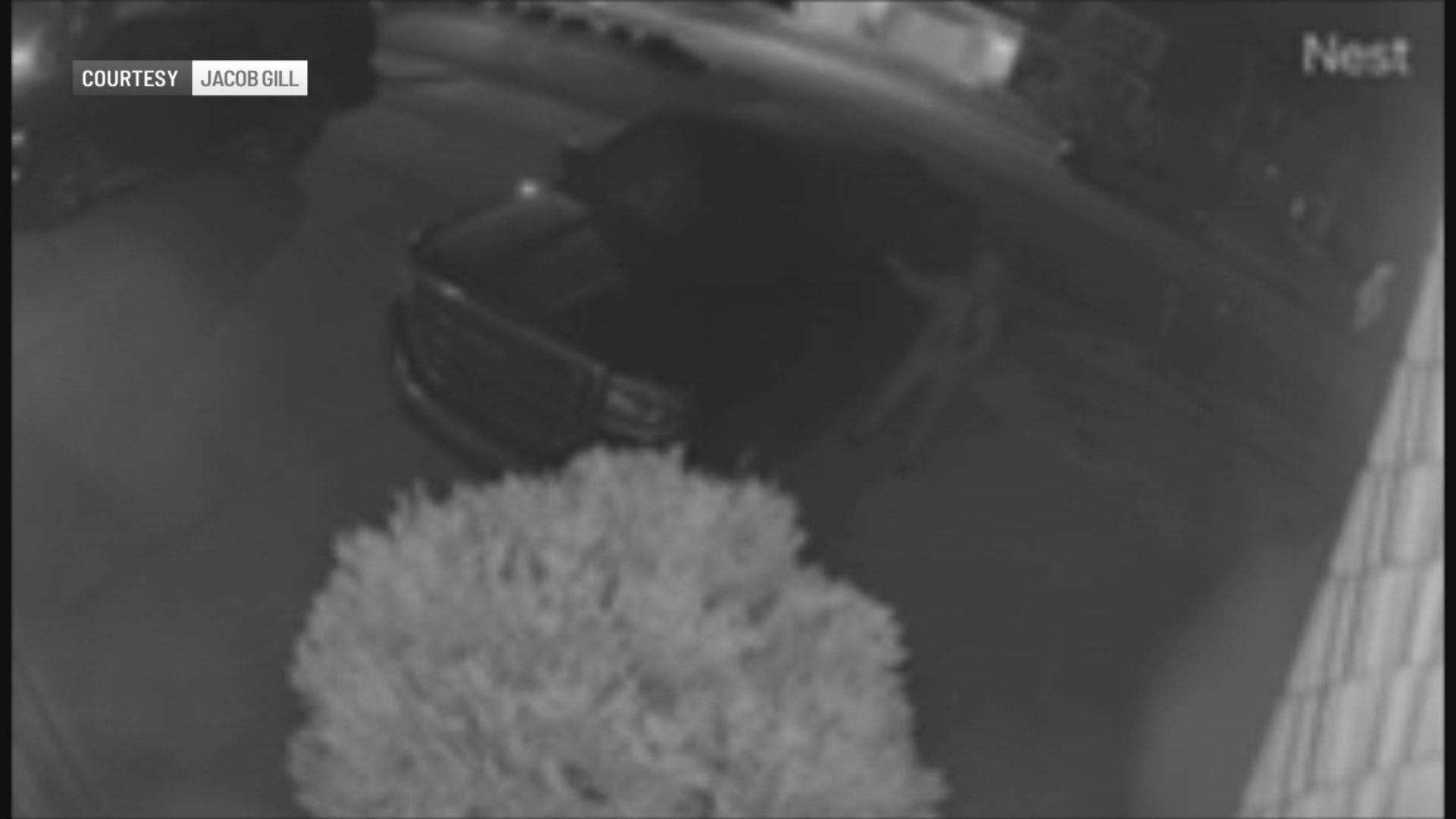 FRANKLIN CAR BREAKINS-4P-PKG.transfer_frame_725 1.jpg