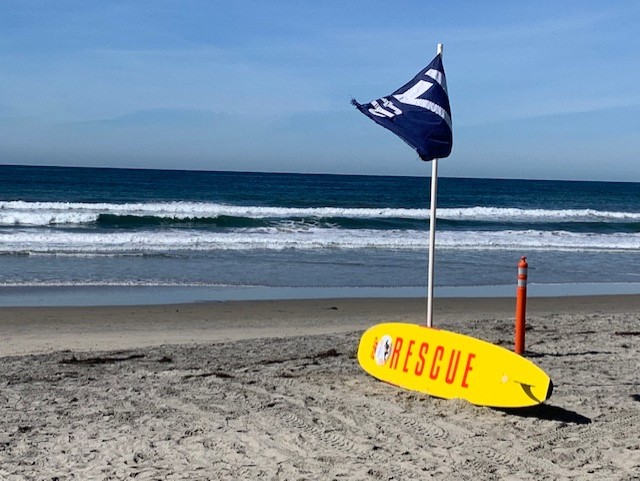 Del Mar woman bit by shark