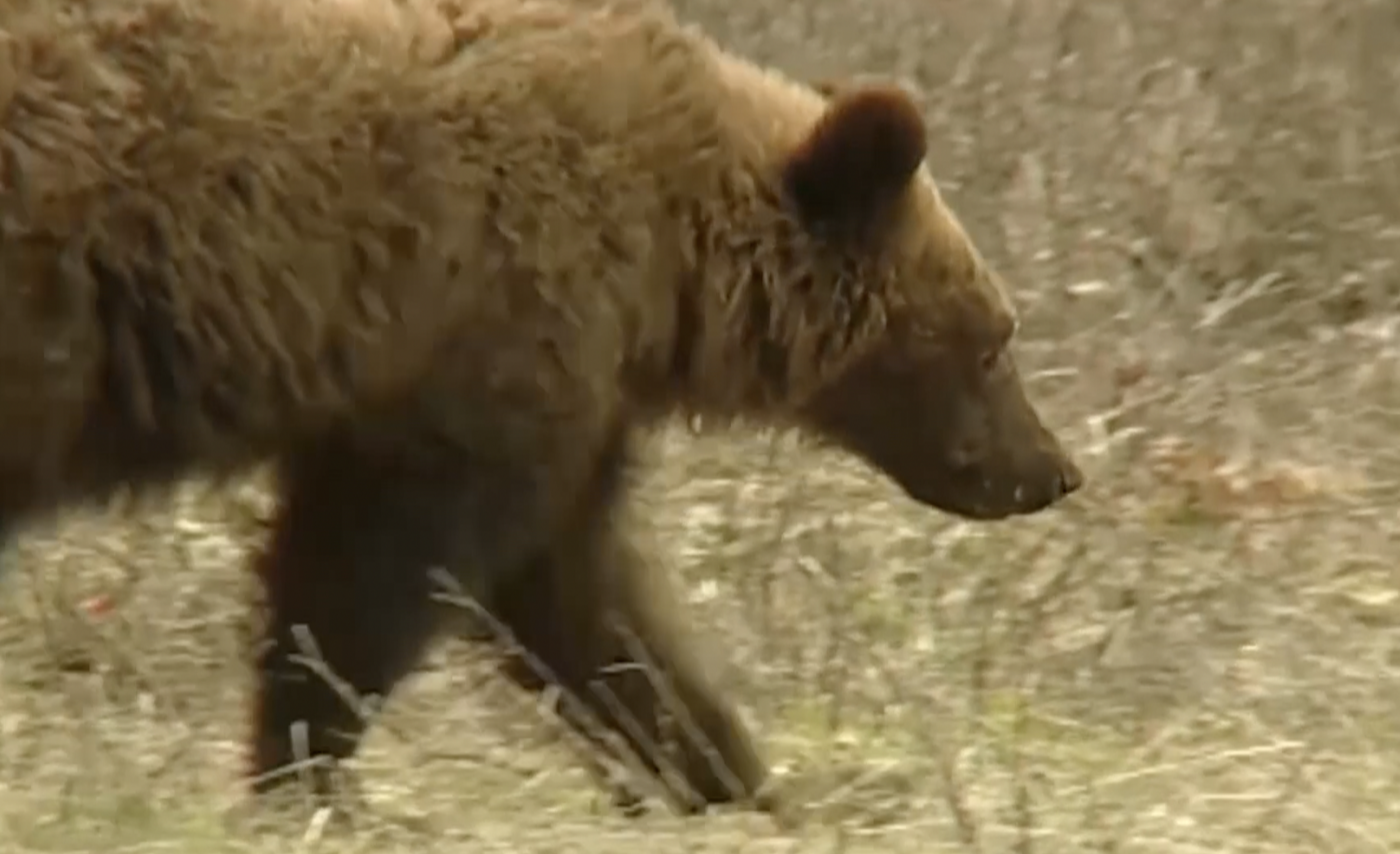 Screen Shot 2022-10-25 at 5.02.19 PM.png