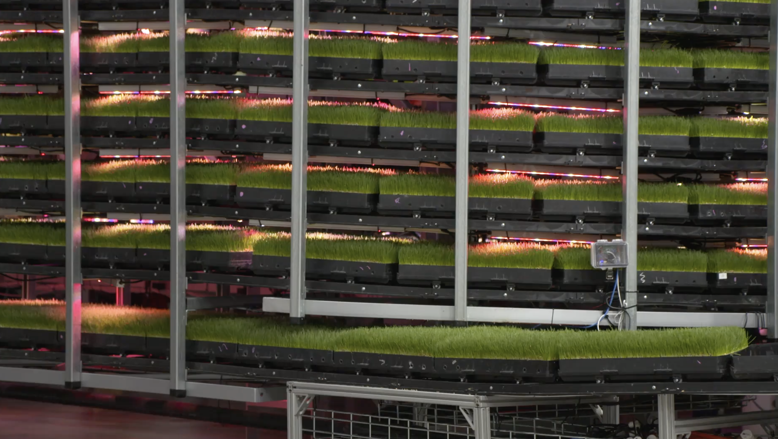 Is this the future of farming? Indoor farm offers promising solutions - Vimarsana News