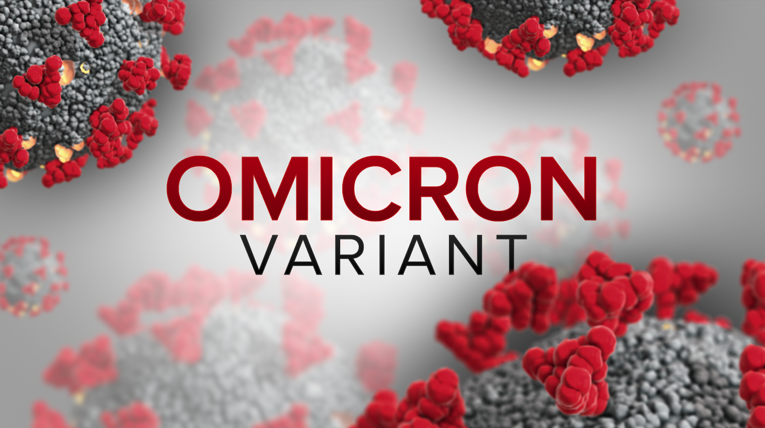 COVID-19 Omicron Variant (FILE)
