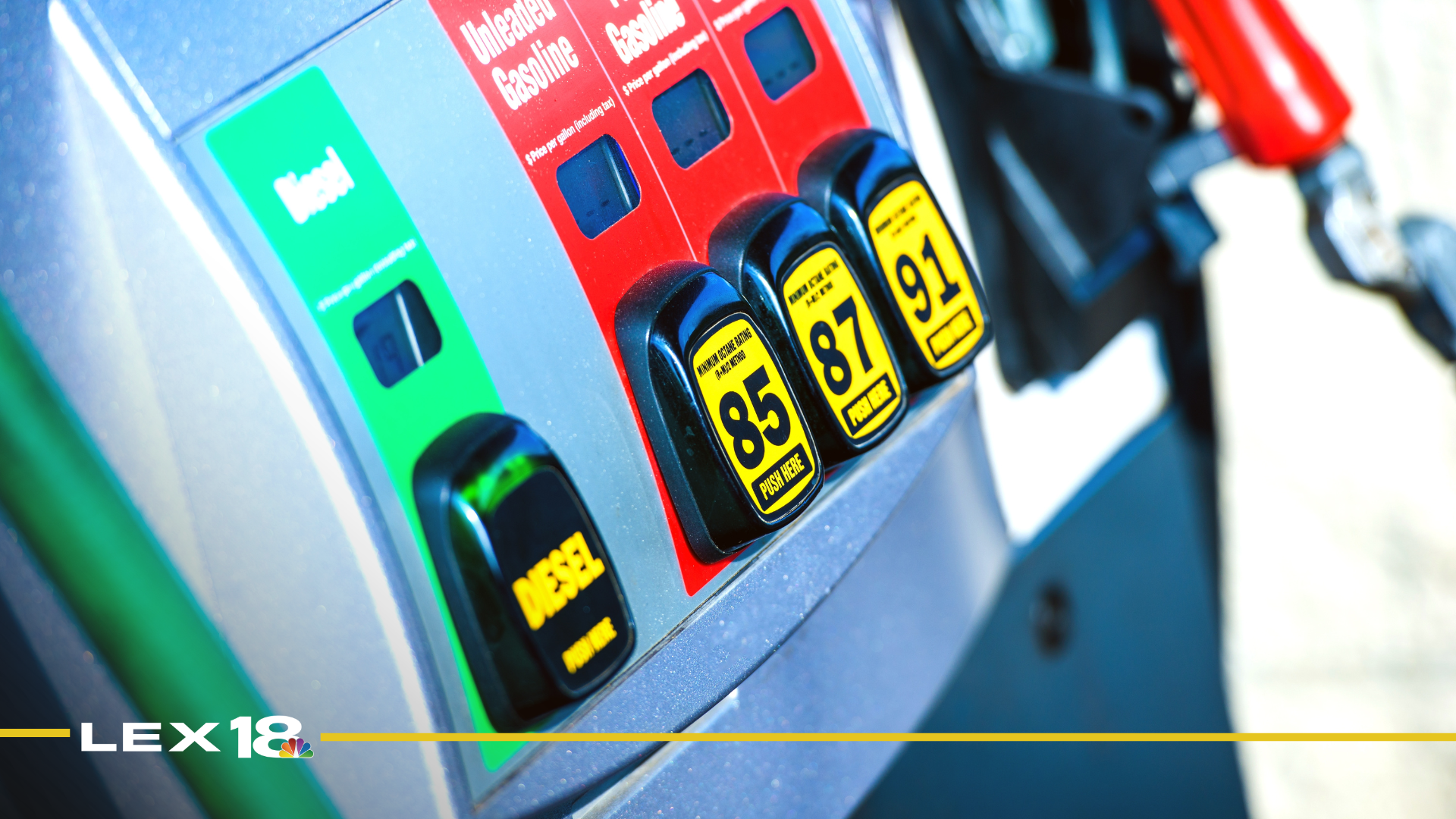 mugshot template  (97).png