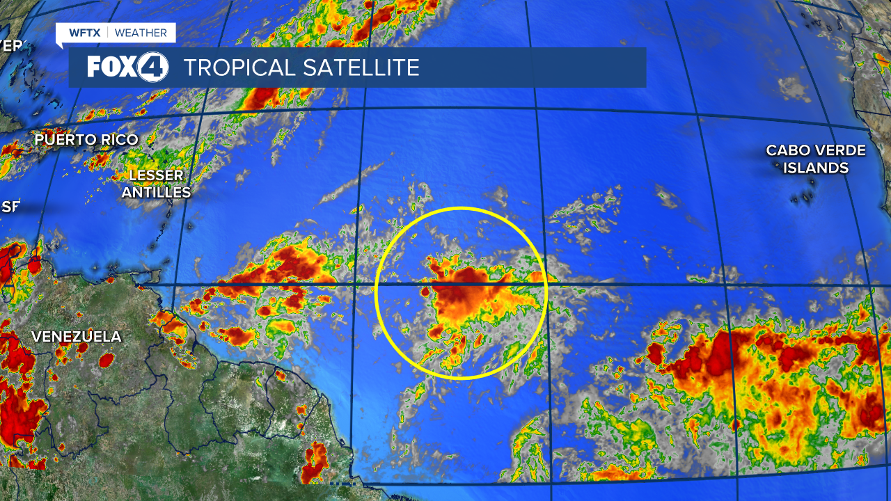 Tropical Satellite Imagery