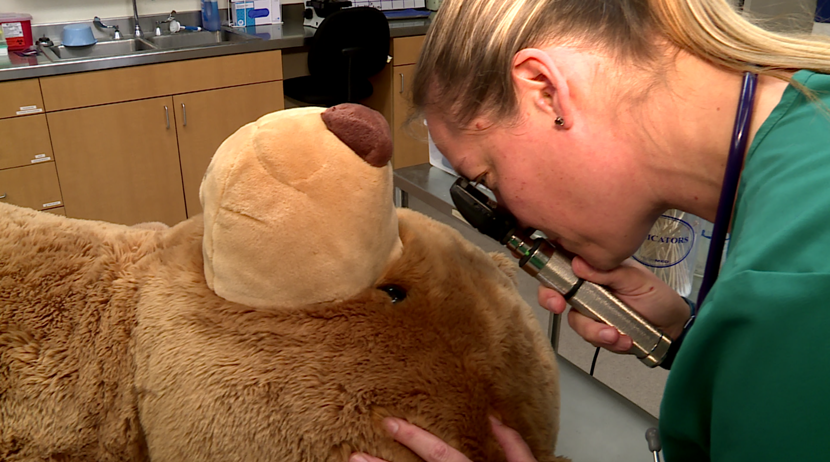 Teddy bear clinic Palm Beach Zoo 