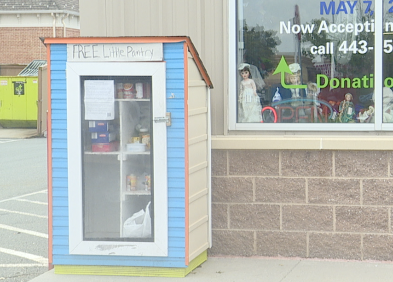 Free Little Library