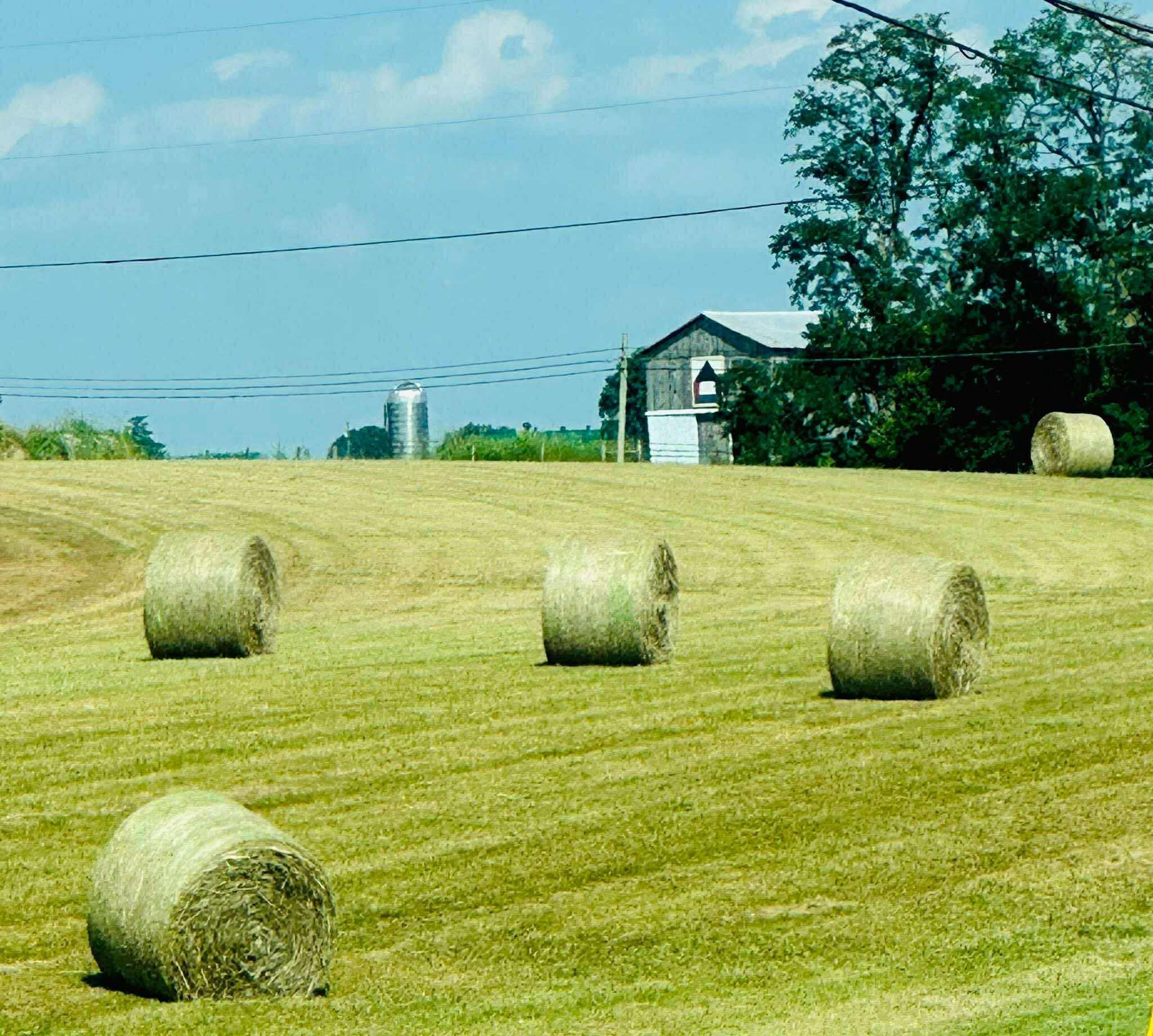 data center proposed site pic one.jpeg