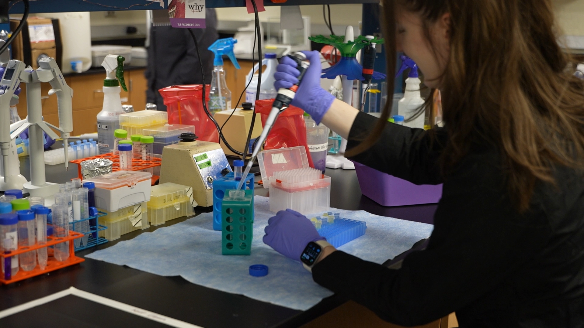 MSU Billings College of Health Professions and Science