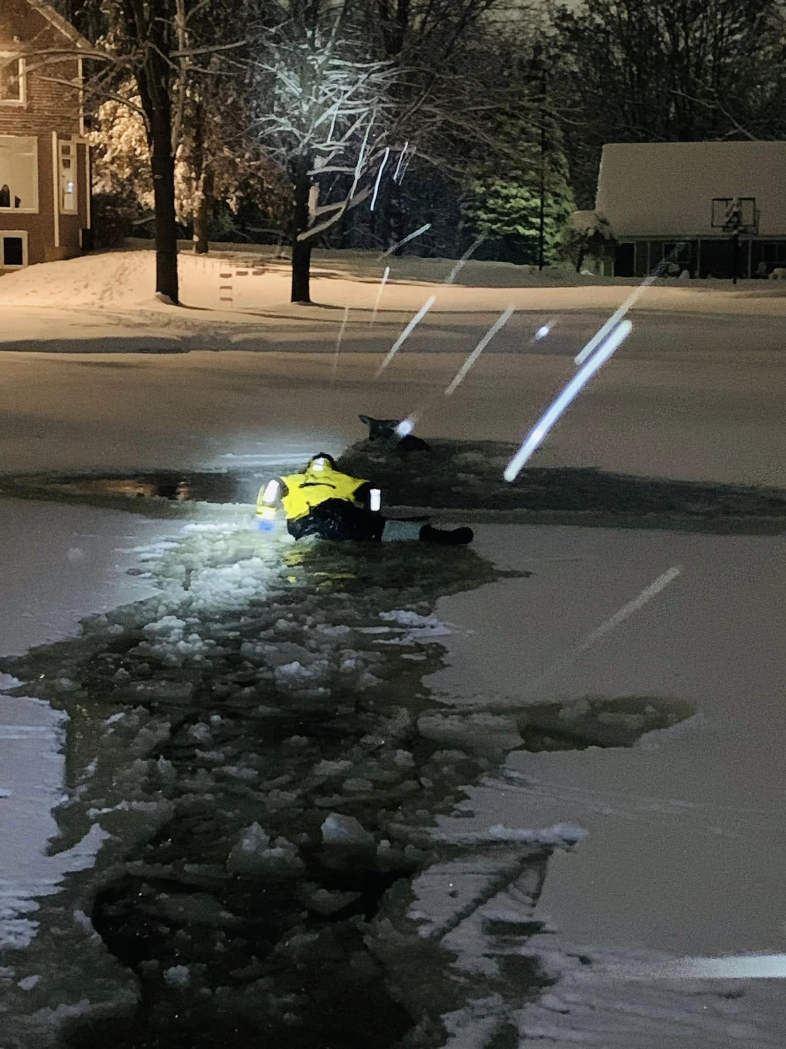 deer rescued from ice in Wyoming