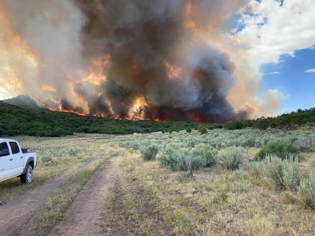 Pine Gulch Fire_Aug 2 2020