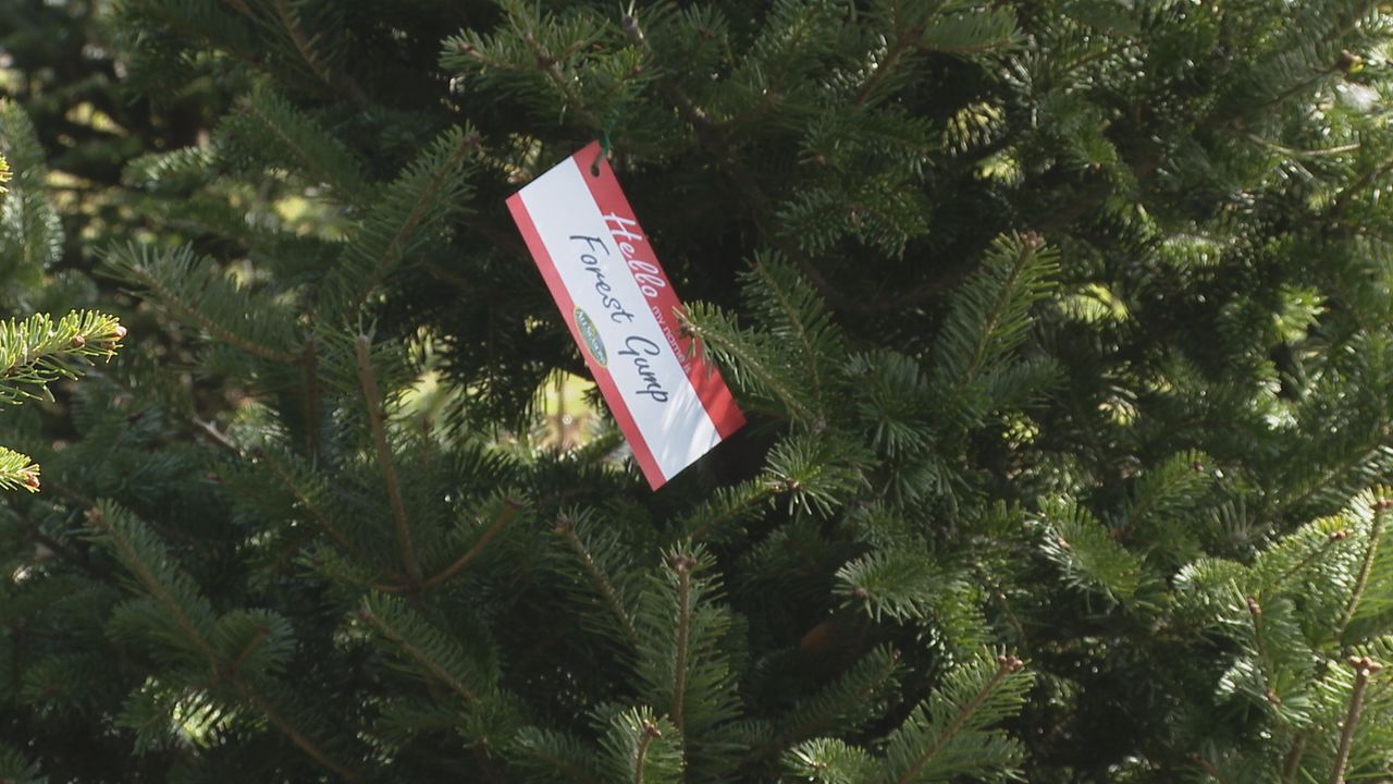 Supply chain affects Christmas tree lots
