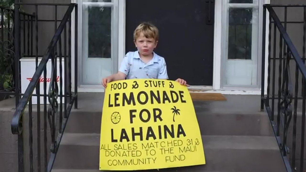 5-year-old boy poses with sign from his lemonade stand