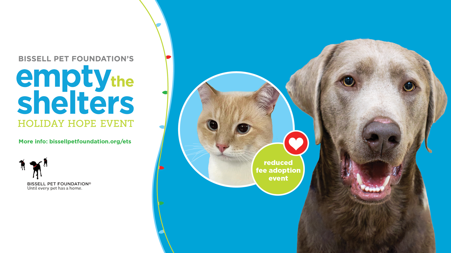 Empty the Shelters