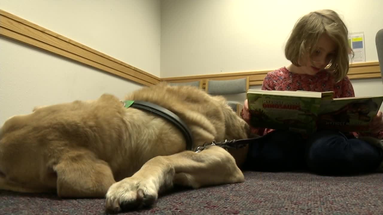 Malmstrom AFB library program encourages kids to read to dogs
