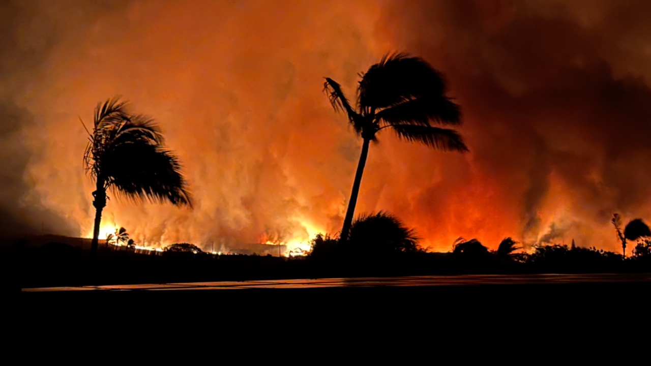 maui fire.jpg