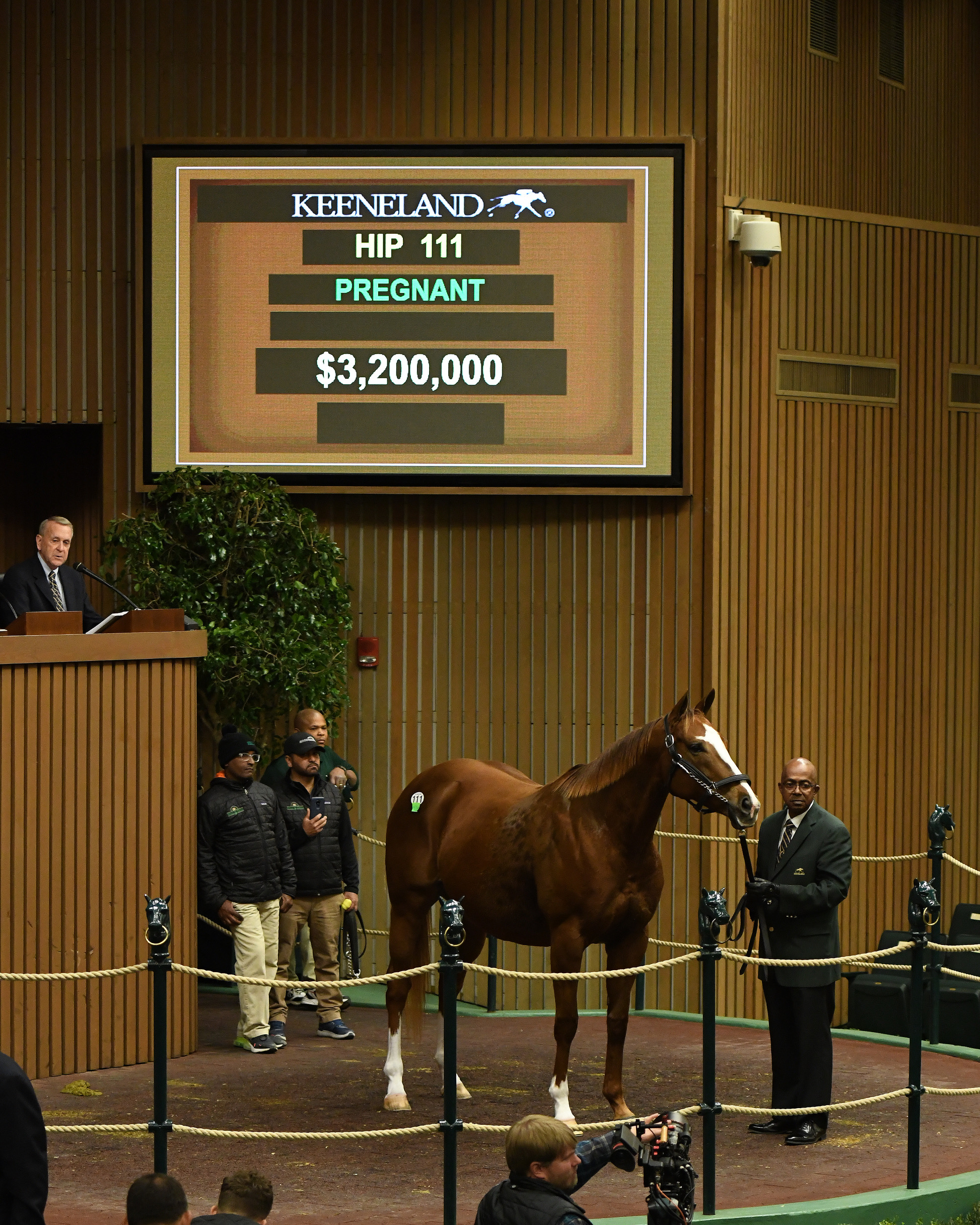 Take Charge Brandi at 2019 November Sale.jpeg