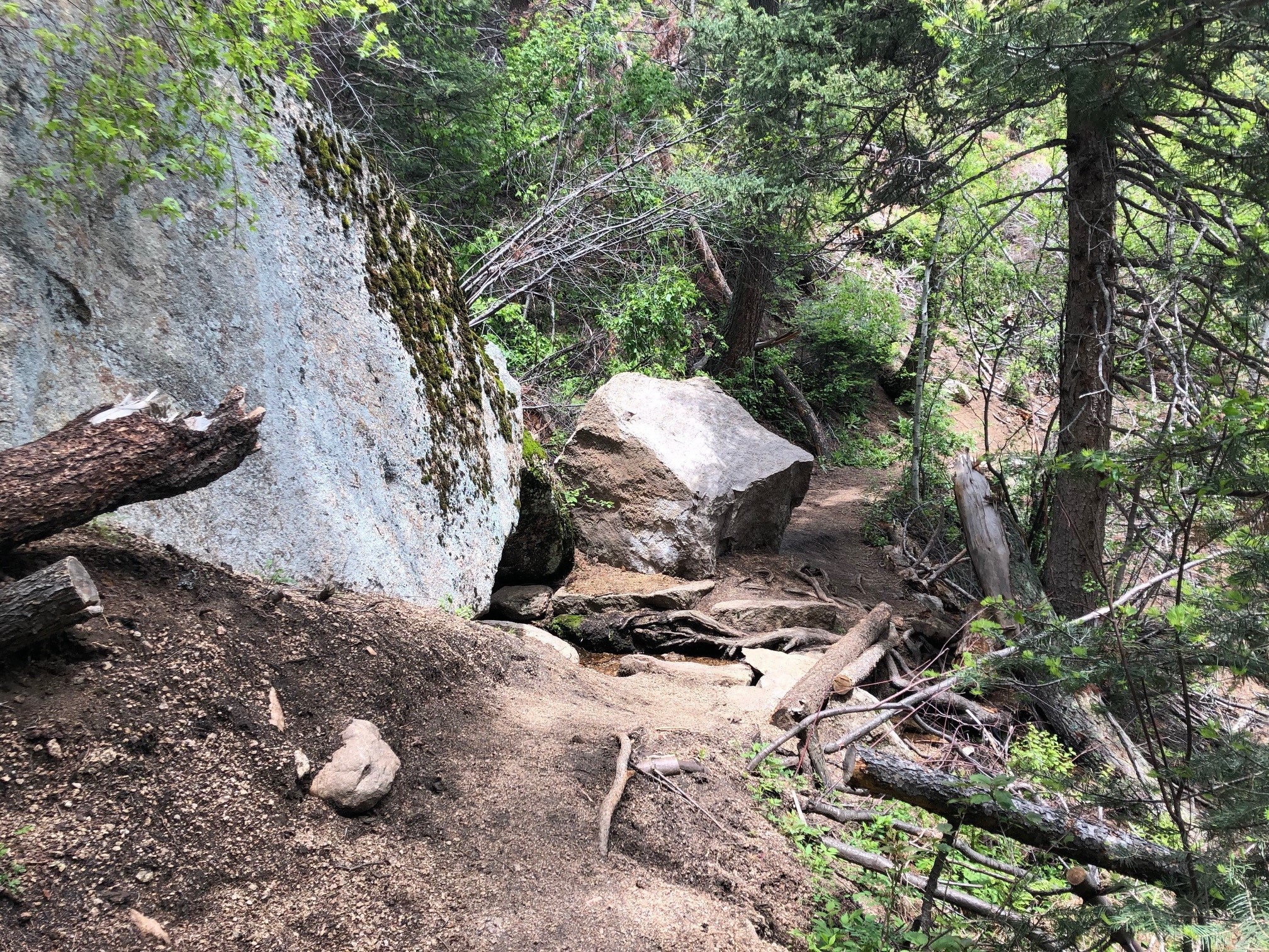 Palmer Red Rock Trail Image 3