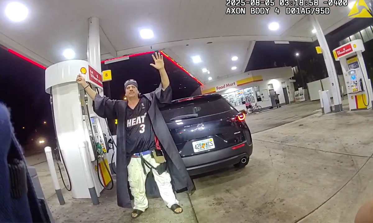 Michael Rodrigues traffic stop 