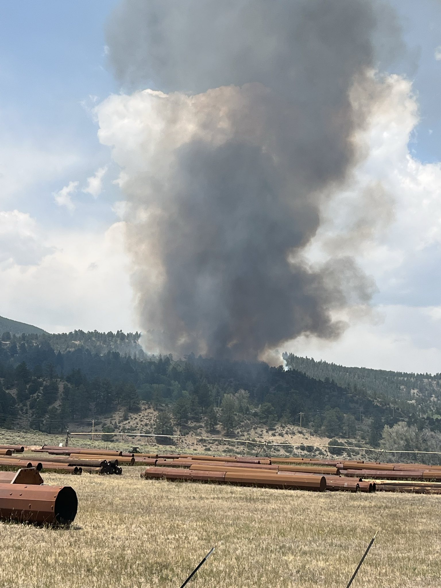 Buena Vista Fire_july 10 2025.jpg