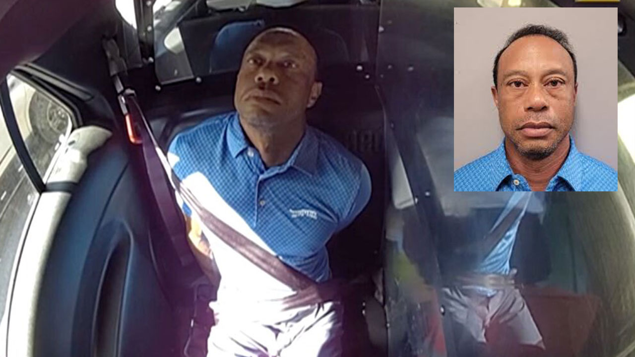 Tiger Woods DUI