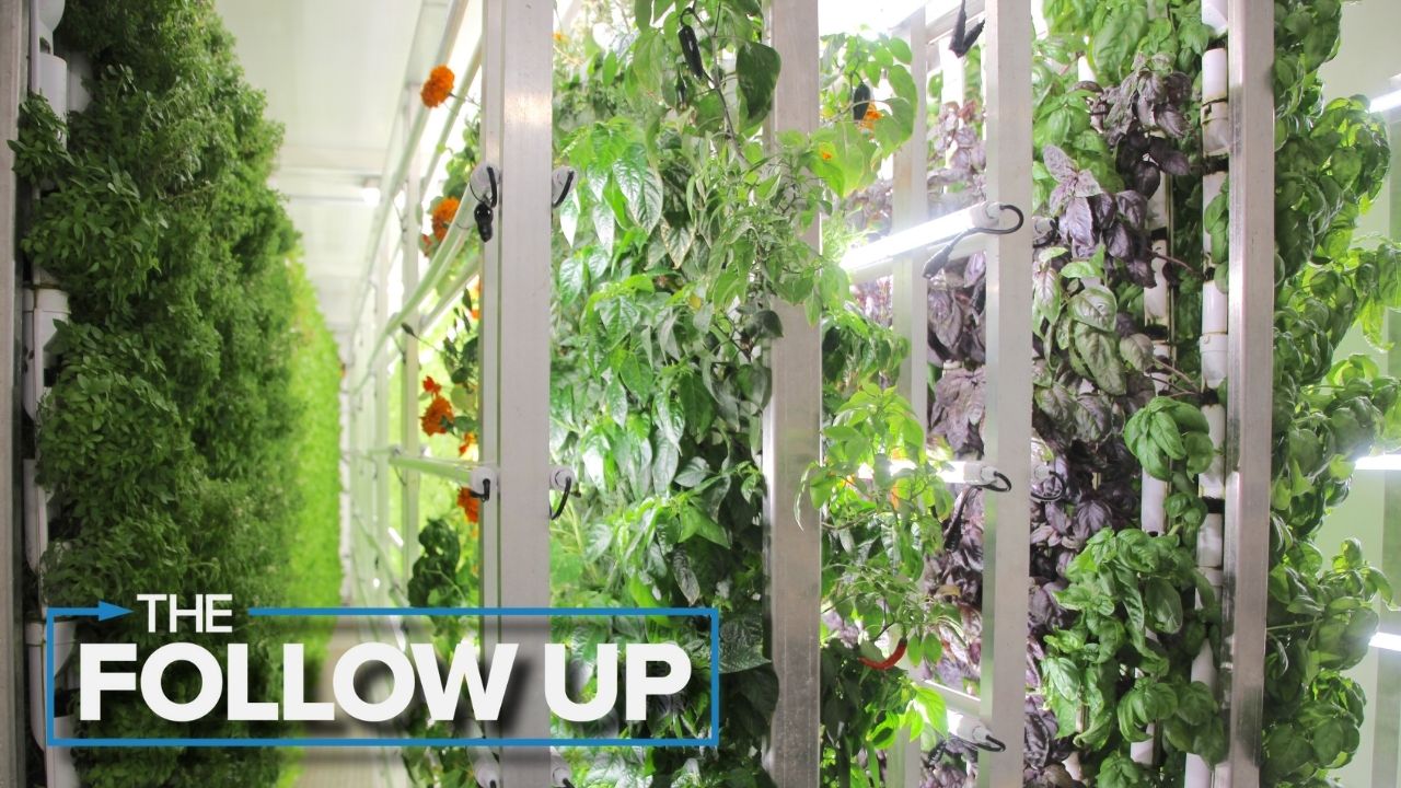 FarmBox Foods Follow Up thumbnail