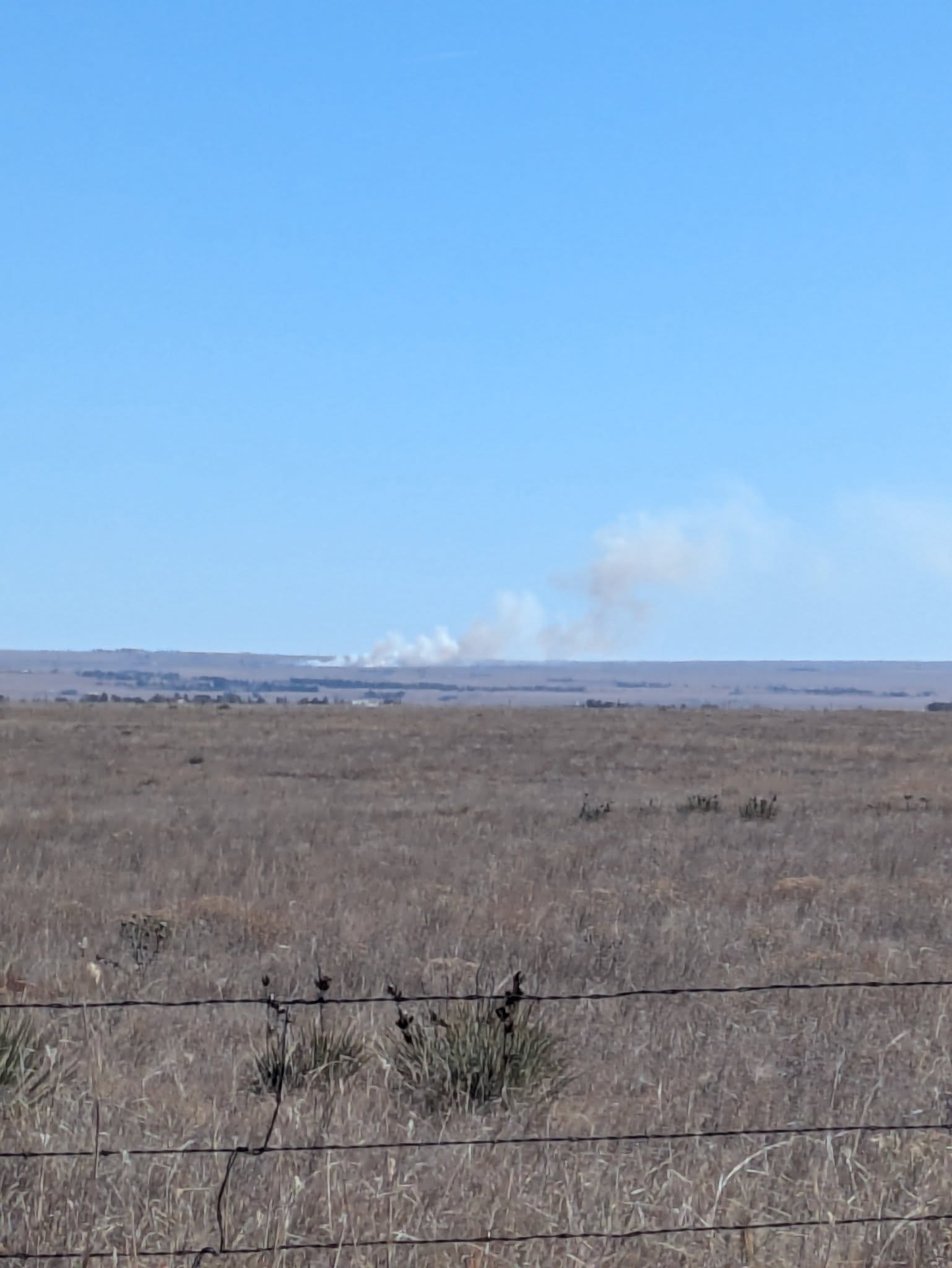 Aria Gardner Fire .jpg