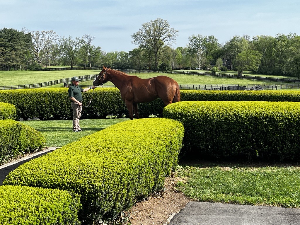 Airdrie Stud