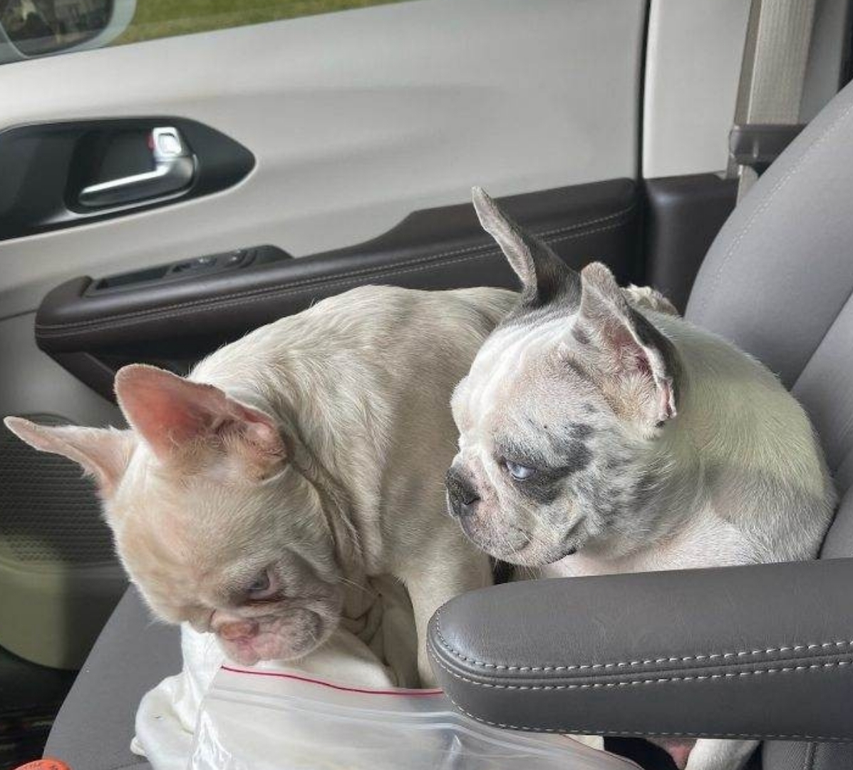 Untitled design (16).jpg