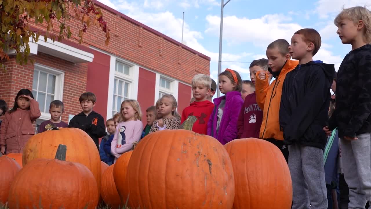 Helena Pumpkin Delivery