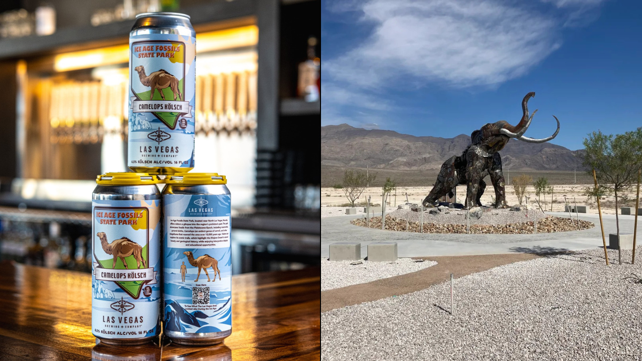 Camelops Kolsch