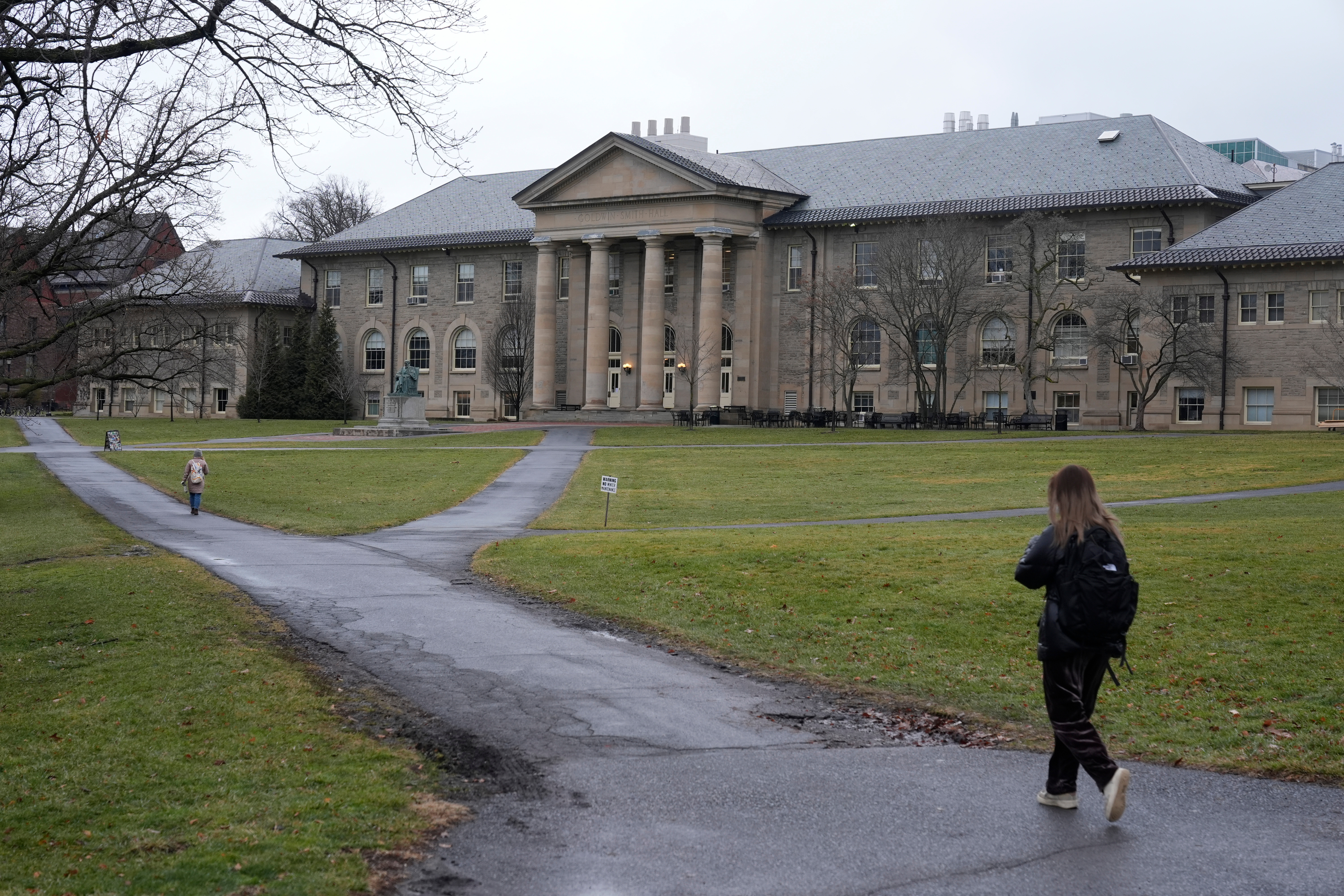 Cornell Investigation