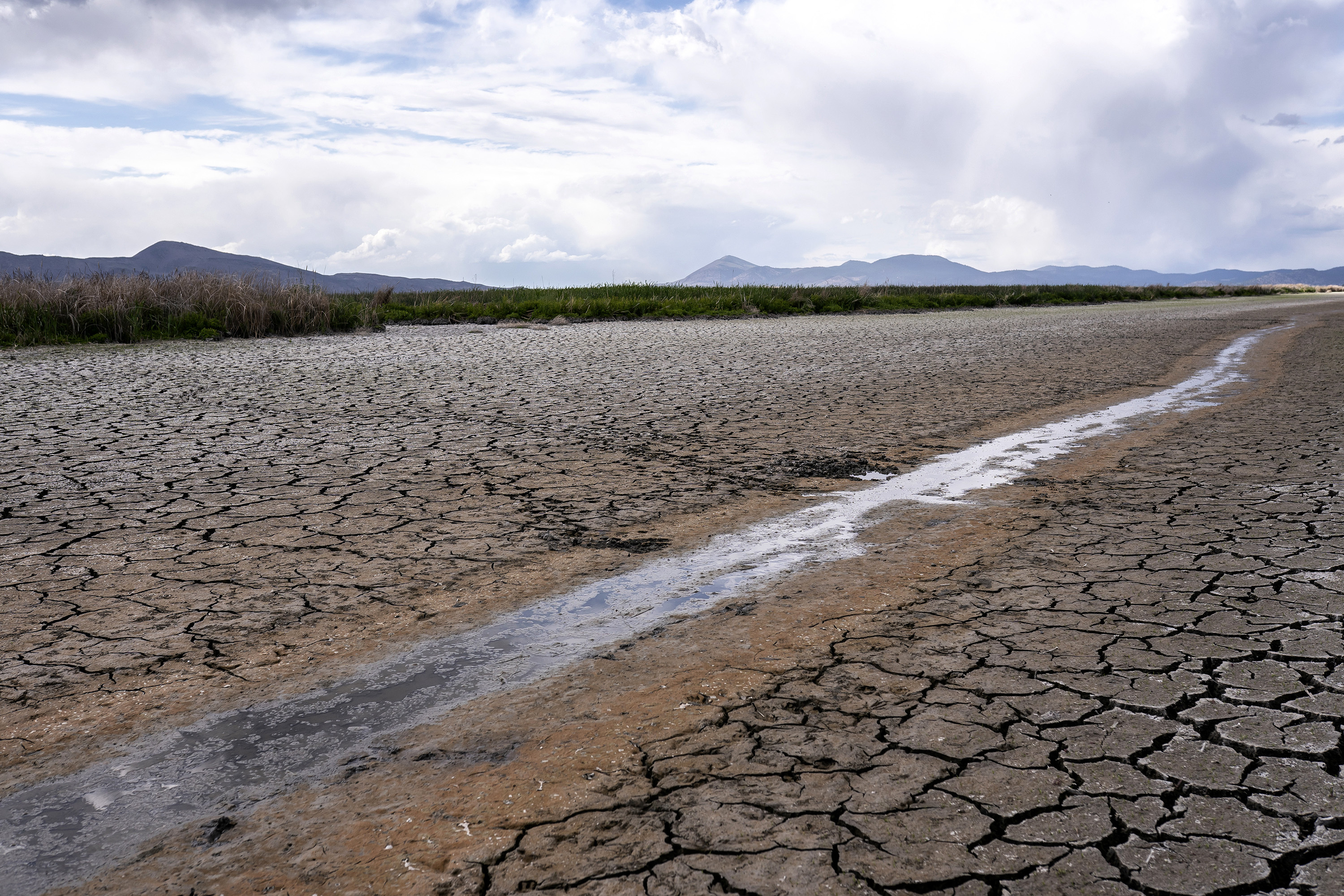 California Drought Water Restrictions