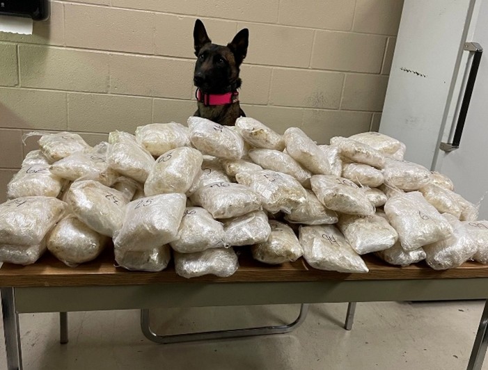 Drug Bust