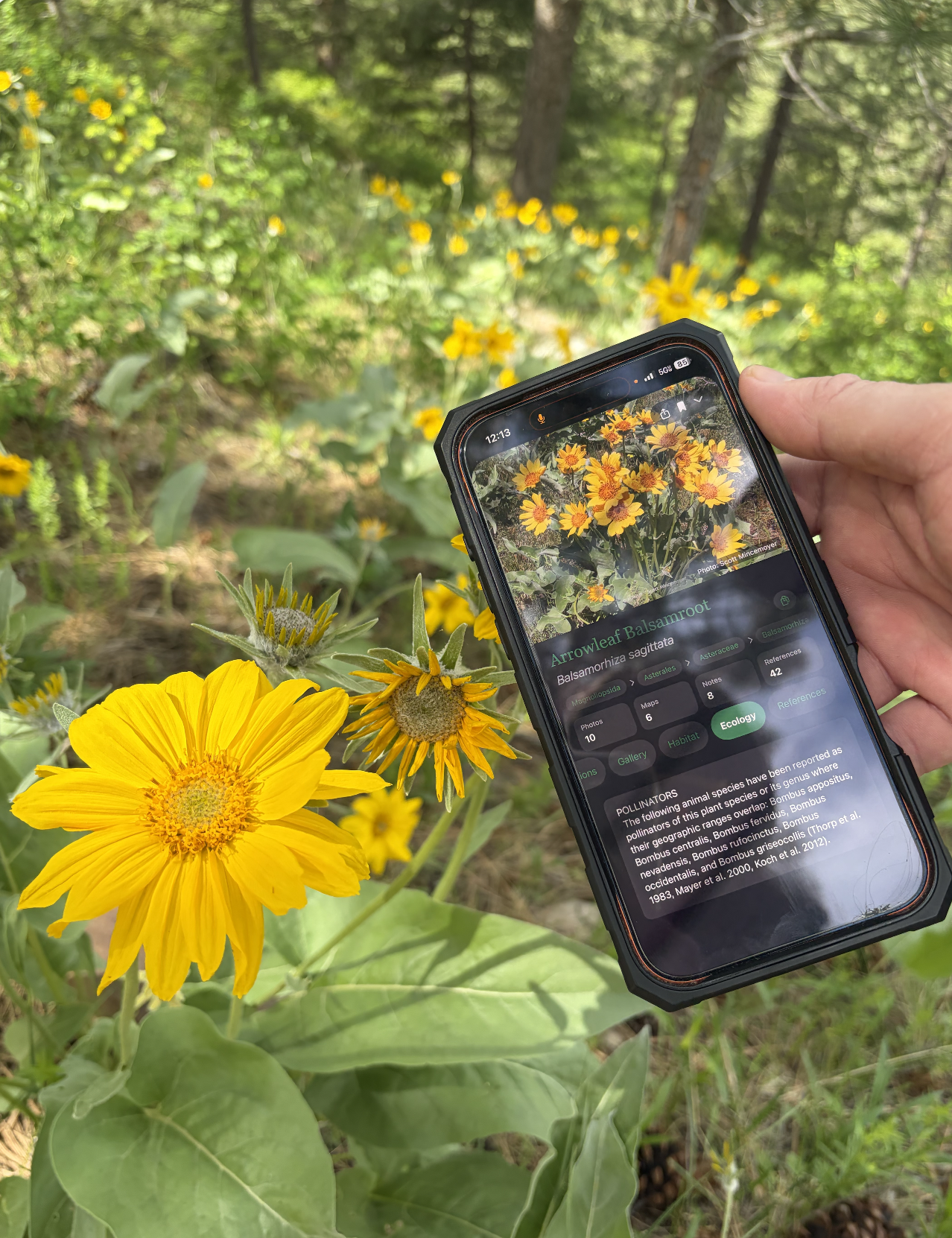 NATURE TOOLS